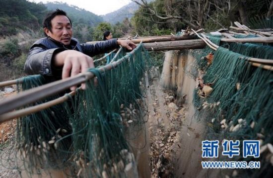 渔民刘桂宝因无鱼可打，在家门口晒网。新华社记者 周科 摄