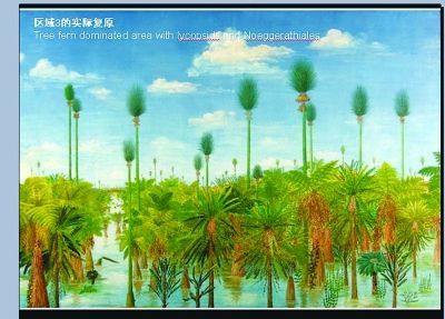 3亿年前的原始森林被神奇“复原”。（王军供图）