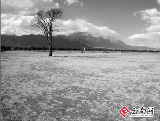 村民说被车辆“练驾”后留下荒地草都很难长出来。