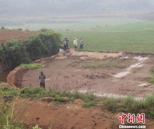 6月10日，天邦净水材料有限公司直接向附近农田排放污水，厂方工作人员正在和当地农民谈整改和补偿问题。吴奇勇 摄