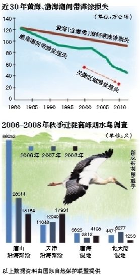 2006-2008年秋季迁徙高峰期水鸟调查