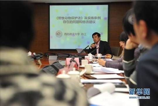  1月8日，西北政法大学动物保护法研究中心主任孙江教授在发布会上作主题发言