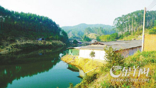 荔枝山内都会水库周围的养猪场直接排污进水库