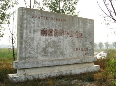 冀滦纸业经济林内公告牌：“河北省‘三北’防护林体系建设响嘡防护林工程区，滦县人民政府二00一年十二月立”。据官方介绍：2002 年，冀滦纸业投入资金2100 万元，收购北起岩山、南至滦南、长达十多公里，面积1.2万亩的王法宝、迁义庄、北小王庄子等村所植林带一部分建“循环经济林”。把“三北防护林”建设与纸业发展有机结合起来，形成良性循环。到2003年底，滦河滩累积有林面积为28680亩，防护控制面积为35000亩。