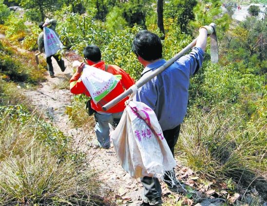 扛着“宝石”下山的村民，结对穿行在崎岖山路上。