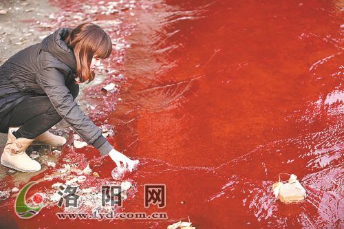 记者在华山路涧河桥下采集河水水样。 