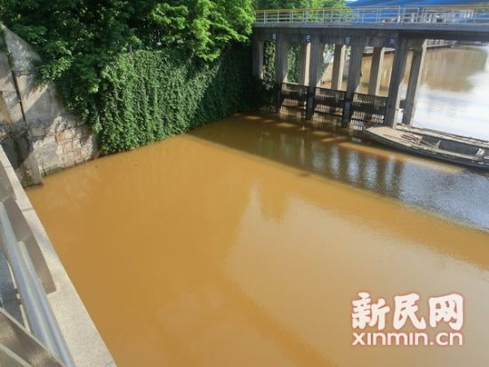 当地学生说，整条河非常恐怖，像中毒了一样，现在已经变淡了。新民晚报·新民网记者 左妍 摄