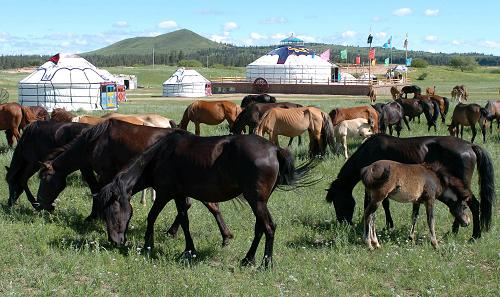 组图:内蒙古畜牧业发展与生态环境实现双赢