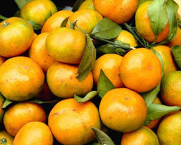 橘子与萝卜同食容易导致甲状腺肿(图)