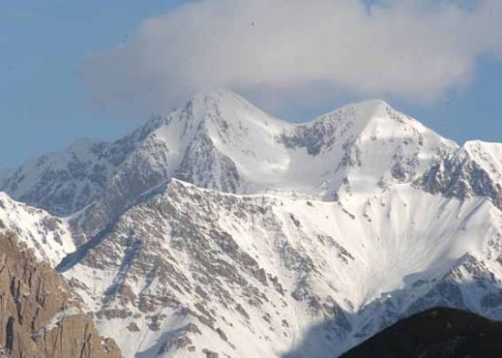 ��ľ���������Ȼ������