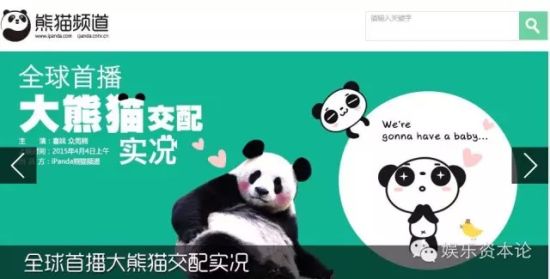 iPanda频道直播大熊猫交配:解析为何慢电视