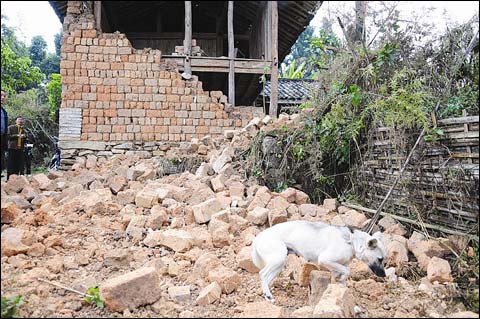 云南瑞丽、宜良两地地震 19人伤 近万人转移_