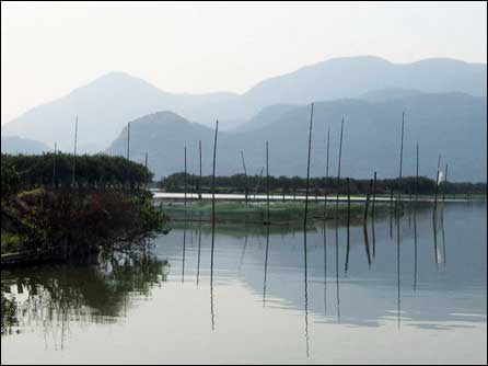 温州三垟湿地:河流纵横 山峦如画_天气预报