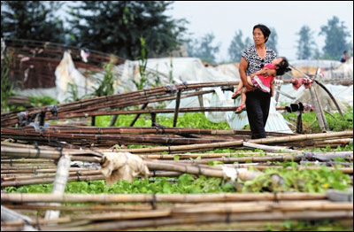 暴雨致北京局地内涝 大兴百余亩蔬菜大棚垮塌