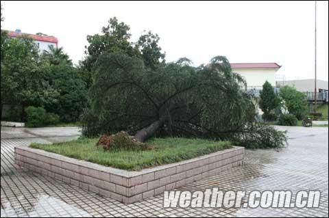 贵州铜仁出现短时暴雨并伴有9级大风_天气预报