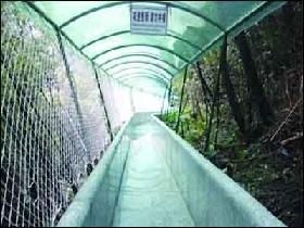 江苏宜兴遭9级大风袭击 景区滑道出事3死25伤