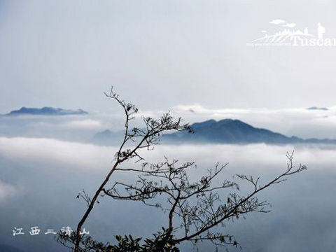 江西三清山:云雾缭绕中的奇石美景_天气