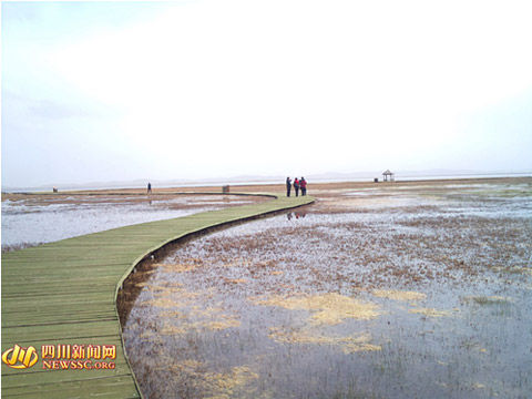 湖泊面积扩大3倍 若尔盖花湖还湿一年见效(图