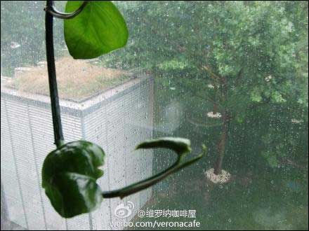北京24日夜间仍有雷阵雨|天气|天气预报_新浪