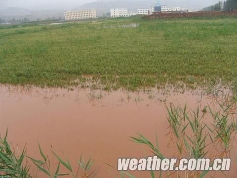 内蒙古多地遭遇暴雨洪涝等灾害|天气|天气预报