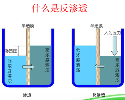 反渗透膜也叫ro膜,是reverse osmosis membrane 的缩写.