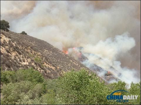 美国加州发生山林大火5000多人撤离|美国|山林