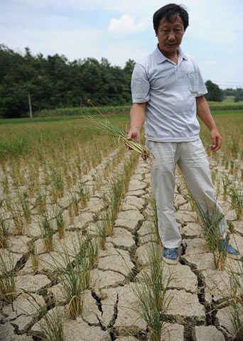 万人饮水困难|贵州|饮水困难|干旱_新浪天气预
