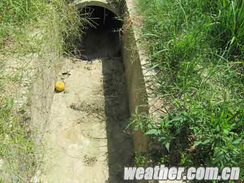 江西萍乡市旱情严重 居民用水仅靠车送|江西|旱