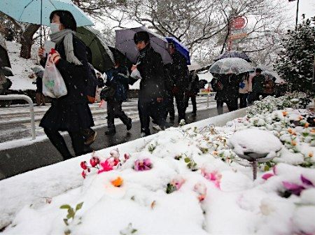 日本东京大雪纷飞 20多所大学推迟考试时间