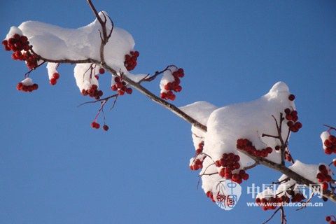 ½ӭѩֹ壩