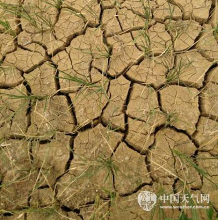 云南保山因旱11万余人饮水困难 明起降雨缓旱