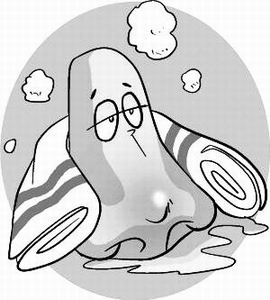 冬季别让鼻子闹脾气 鼻咽炎筛查、半价治疗