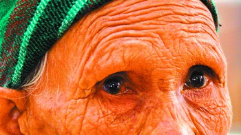 �й�ο������¶�վ����У�15�������