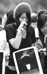 �泯�����������Ϲ�