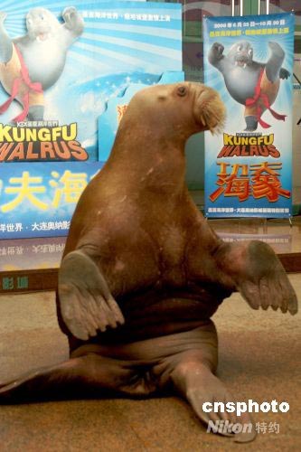 ͼ�����������򡱺�����ݡ���ɳ�ơ�