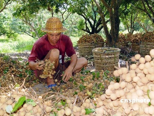 ̨�硰���ġ��ɽ��������쾯��