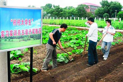 关注大学生新失业群体