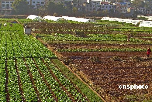 澳门日报:中国应坚守18亿亩耕地红线