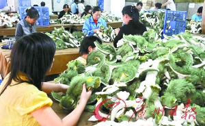 保品牌争订单