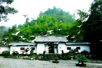 清明,美景就在山那边