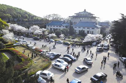 图文:武大樱花节不堪负累