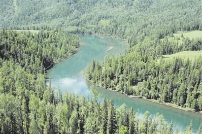 图文:湖北林业生态建设和产业发展两翼齐飞