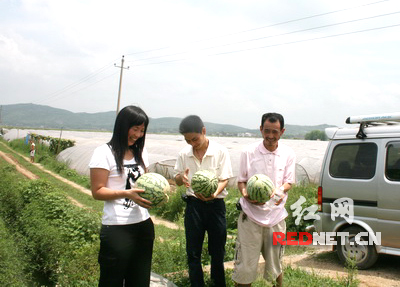 外包地叩开邵阳西瓜之乡富裕门