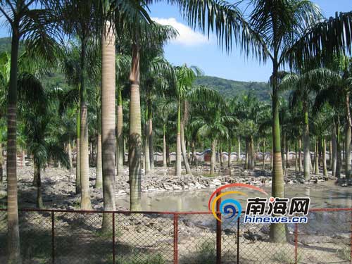 万宁下最后通牒:限无证鳄鱼养殖场7天内撤离