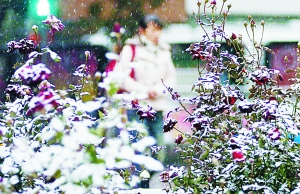 甘肃大部昨现雨雪天气兰州气温降至-4℃(组图)