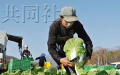 500中国研修生在日本村子:成可以依靠的劳动力