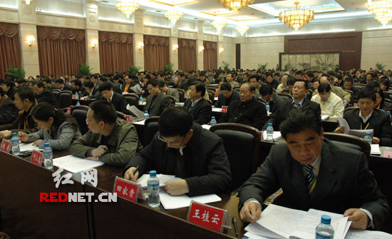 邵阳耳环饰品_邵阳农民人均纯收入(2)