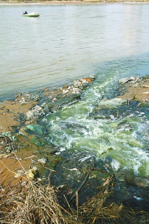 黄河河道上裸露的排污口,直接将污水排向黄河.cfp供图