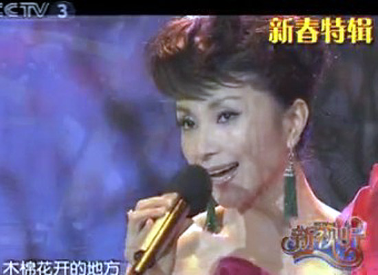 汤灿和湘籍诗人汤松波联袂推出的新歌《木棉花开》,将作为2010央视