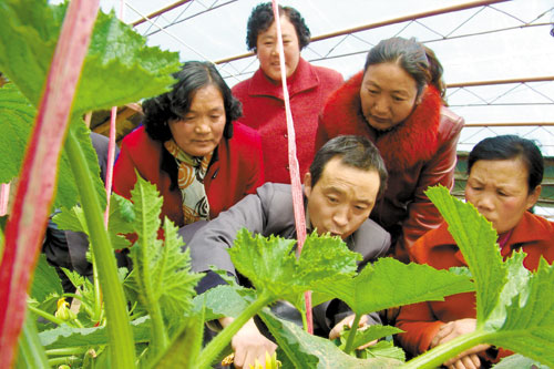 西宁市种子站的农业科技人员为乡亲们传授蔬菜